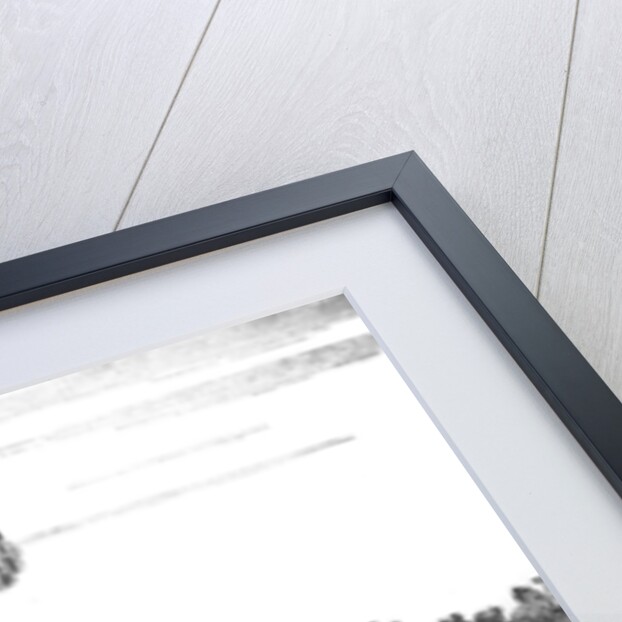 Phaetona, or Modern Female Taste by Colley