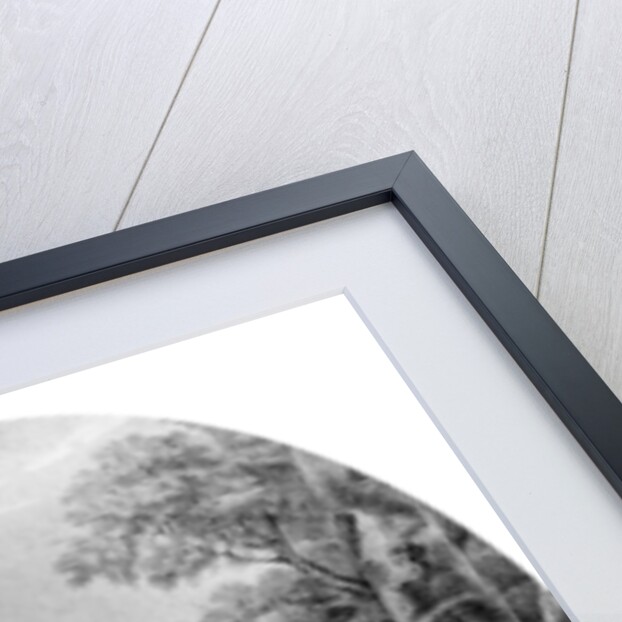 Henry Bunbury Esq by Thomas Ryder