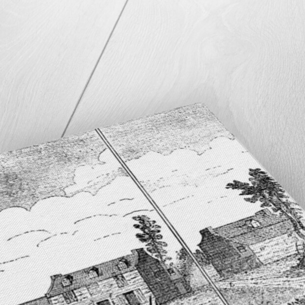 A True Draught of Eliza Canning by Anonymous