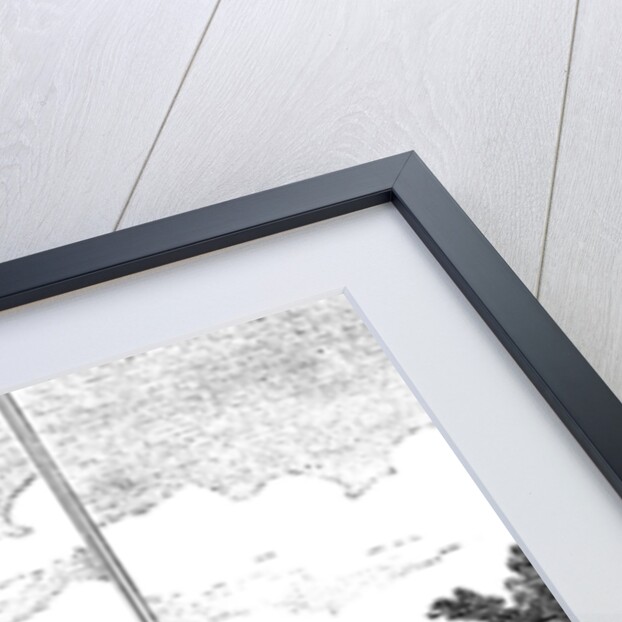 A True Draught of Eliza Canning by Anonymous