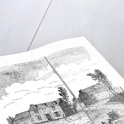 A True Draught of Eliza Canning by Anonymous