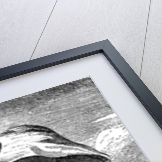 E Canning vindicated or Mr S-sy Gypsies Flight to Enfield Wash by Anonymous