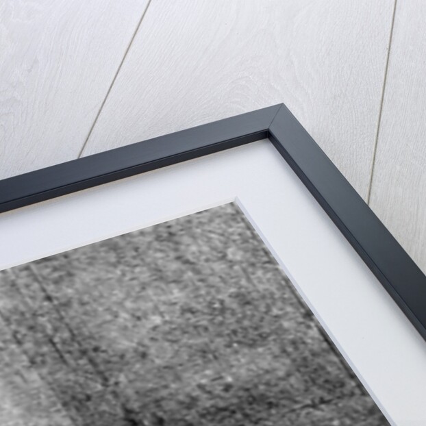 'The Gypsey conversing with ye Inspector General of Great Britain,' c1753 by Anonymous