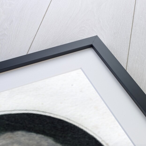 John Horne Tooke, English politician and philologist by Anonymous