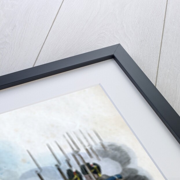 The Prince of Orange Distributing His Medals by Anonymous