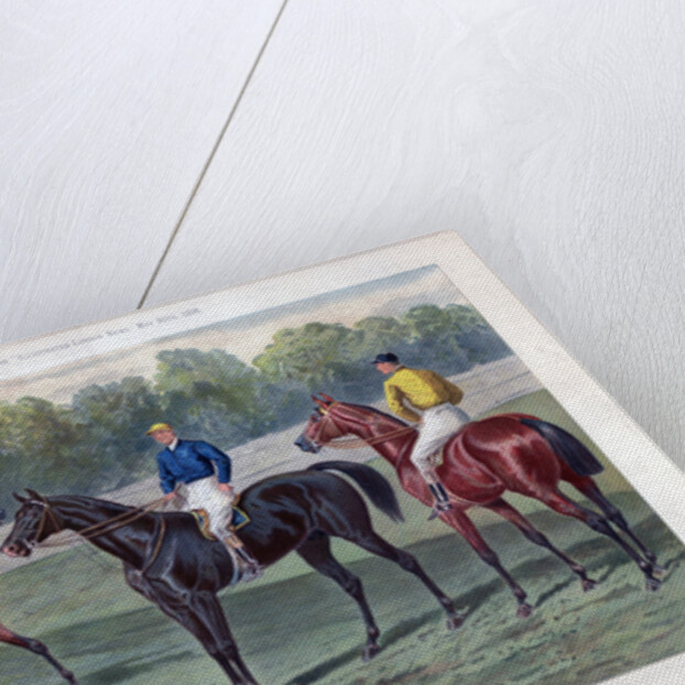 The Derby Favourites by John Sturgess