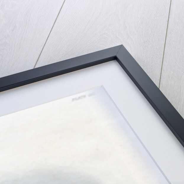 Muck-a-tah-mish-o-kah-kaik, The Black Hawk, A Sac Chief by Harris