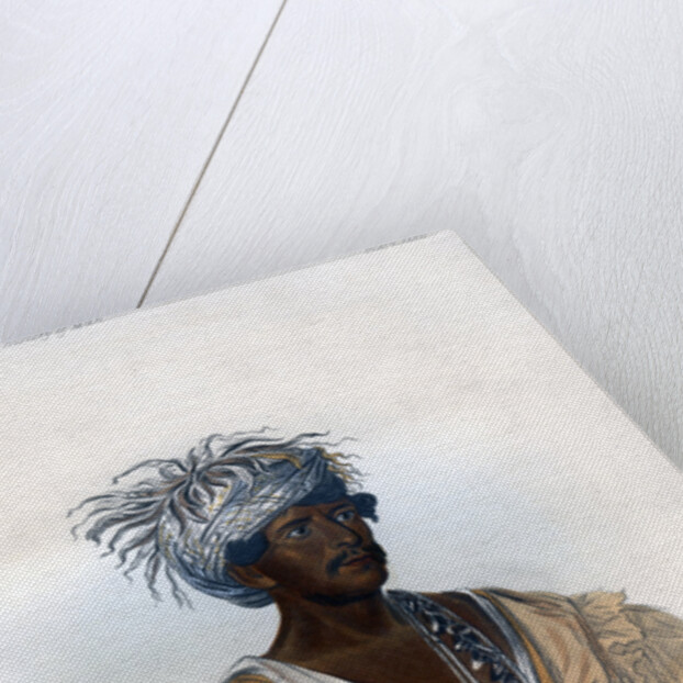 Tuch-ee, A Cherokee War Chief by Harris