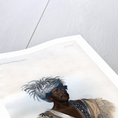 Tuch-ee, A Cherokee War Chief by Harris