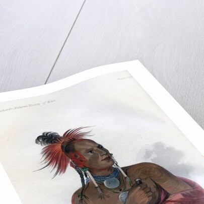 Meach-o-shin-gaw, The Little White Bear, A Konza Warrior by Harris