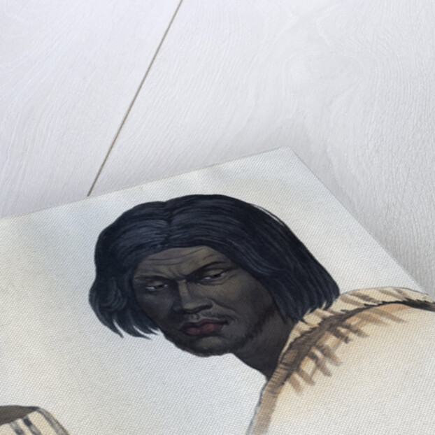 Natives of California by Anonymous