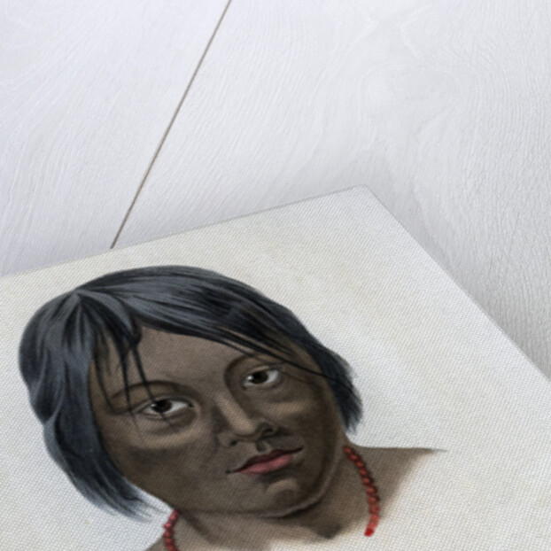 Juri and Botocudos, of the Brasilio-Guarani nation by Anonymous