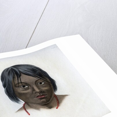 Juri and Botocudos, of the Brasilio-Guarani nation by Anonymous