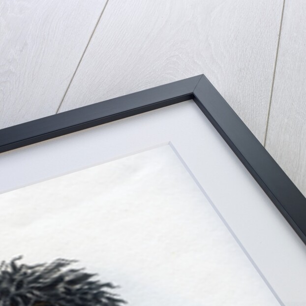 Ak-quee-we-zaints, The Boy by Harris