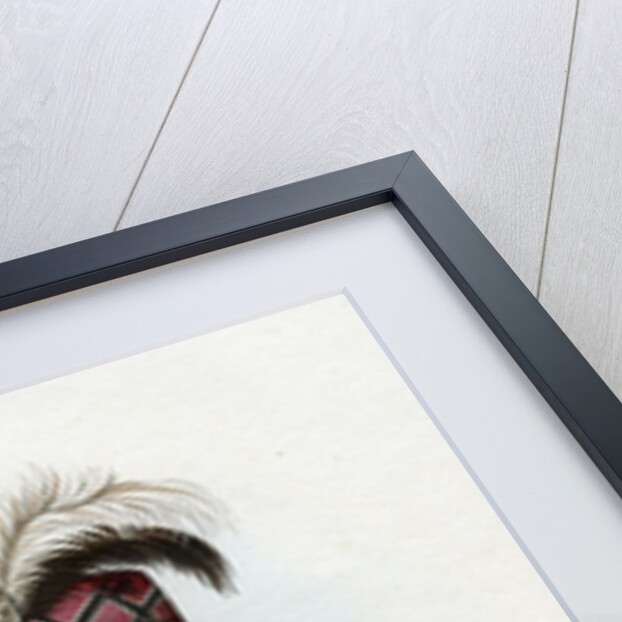 'Not-een-a-akm, The Strong Wind', the interpreter by Harris