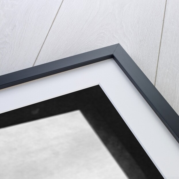 Front and porch of St Germain l'Auxerrois, Paris by Ernest Flammarion