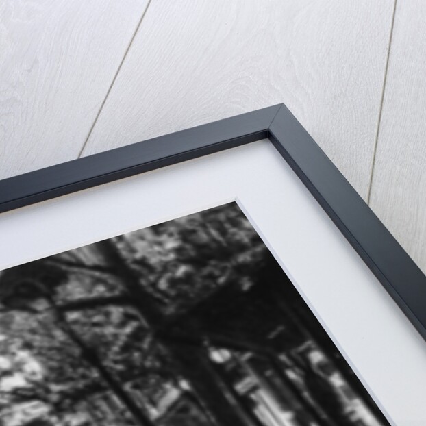 Traffic on the Grands Boulevards, Paris by Ernest Flammarion