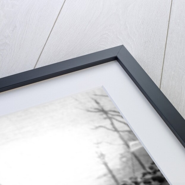 Walking match of midinettes, Paris, St Catherine's Day by Ernest Flammarion