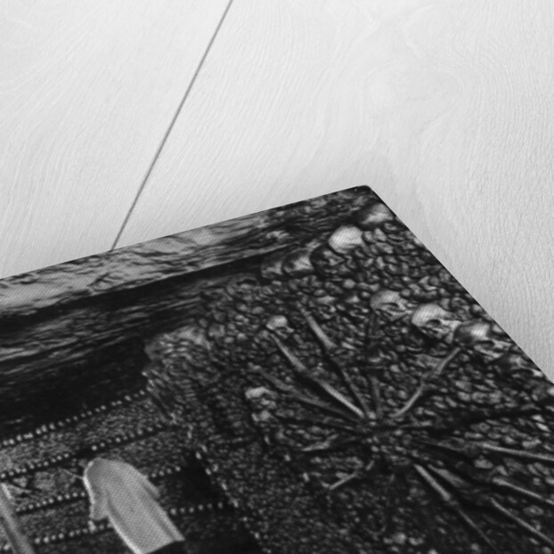 The Catacombs, Paris by Ernest Flammarion