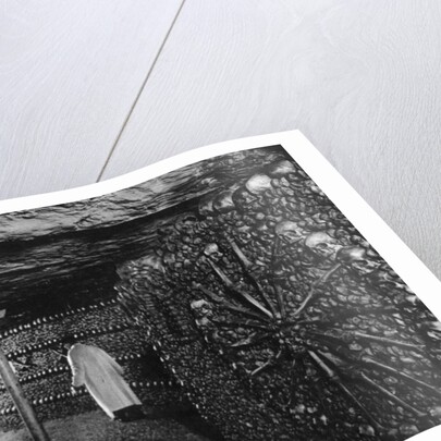 The Catacombs, Paris by Ernest Flammarion