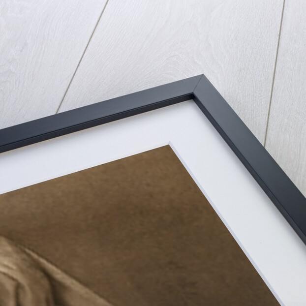 Catherine Parr by Anonymous