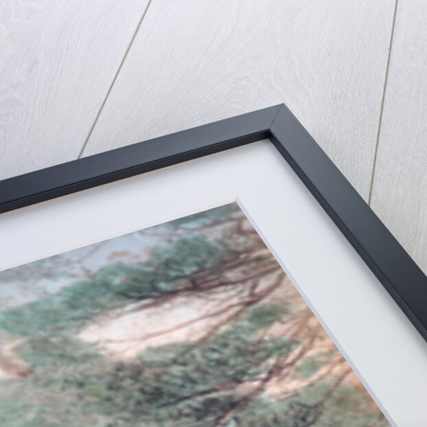 Gate of Zojoji Buddhist Temple, Shiba Park, Tokyo by Anonymous