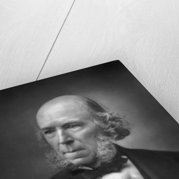 Herbert Spencer by Anonymous