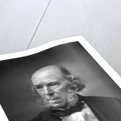 Herbert Spencer by Anonymous