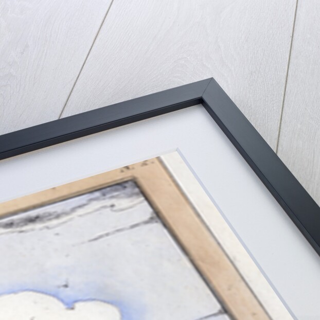 Field Sports: A Double Shot by Anonymous