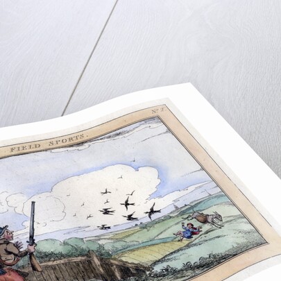 Field Sports: A Double Shot by Anonymous