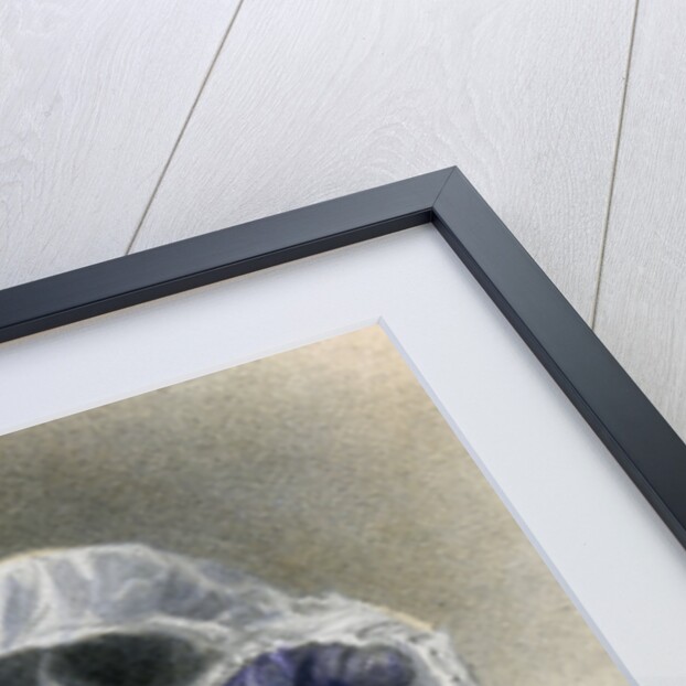 Frances Trollope, 19th century English novelist by Anonymous