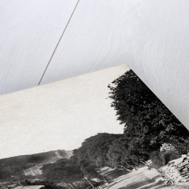 Street through a valley in Hastings, Sussex by Anonymous