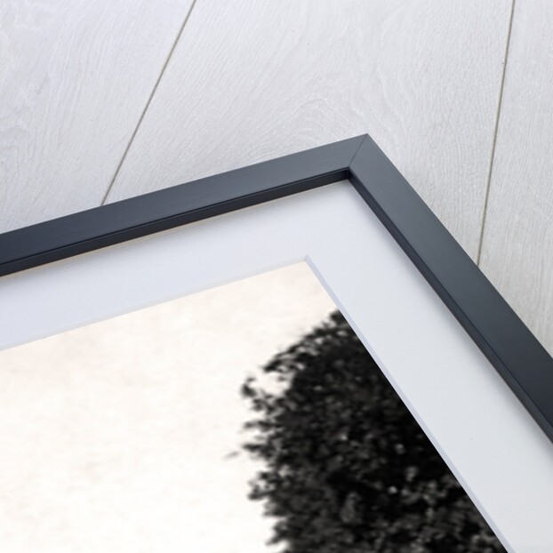 Street through a valley in Hastings, Sussex by Anonymous