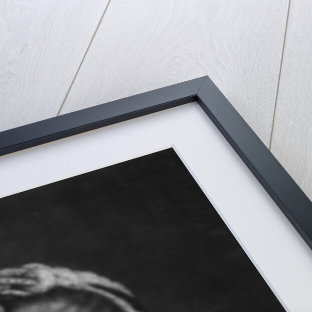 Charlotte, Queen Consort of King George III of Great Britain by Thomas Frye