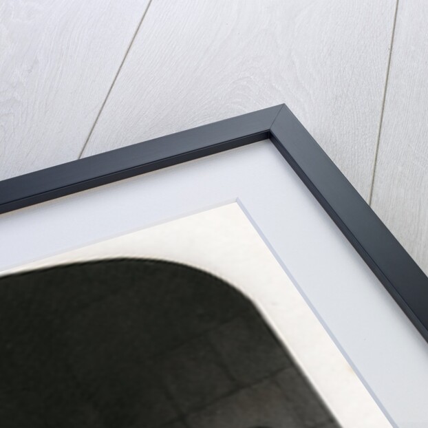 Joan of Arc examined by the Bishop of Winchester by Anonymous