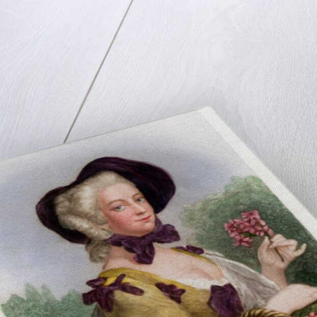 Madame de Pompadour by Anonymous