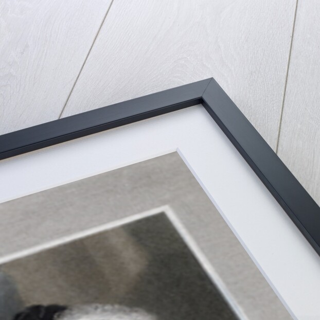 Mary Elizabeth, Baroness of Clifford by J Wright