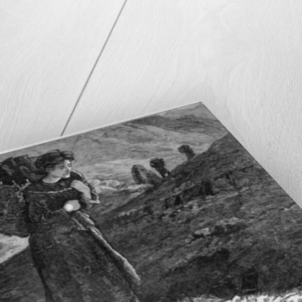 The Distress in the West Ireland: Bringing in Fuel from the Hills near Kylemore by Anonymous