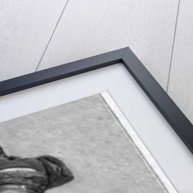 Sikh chief by Anonymous