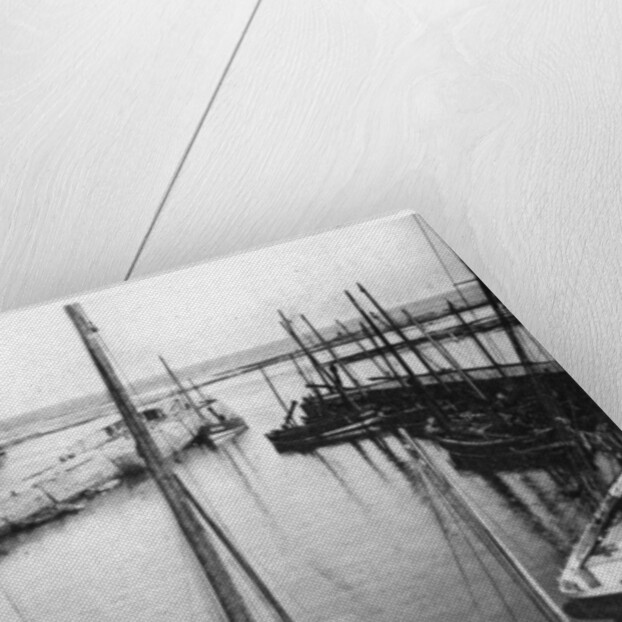 Harbour, Seahouses, Northumberland by Anonymous