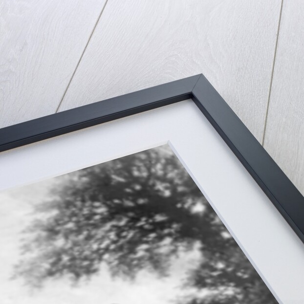 Kenilworth Castle, Warwickshire, England by Hayes