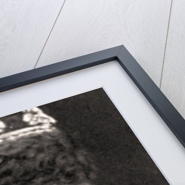 H.M The Queen of England by WD & HO Wills