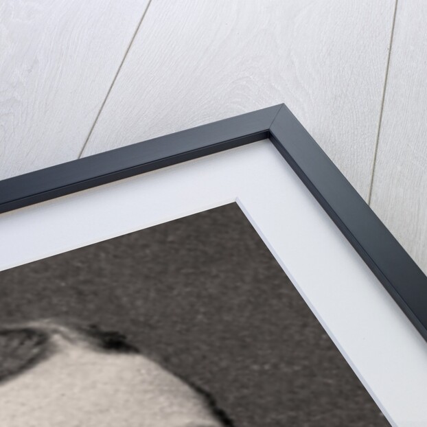 H.R.H The Prince of Wales by WD & HO Wills