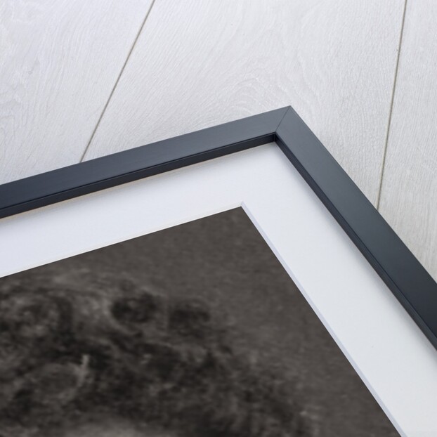 H.M The Queen of Norway by WD & HO Wills