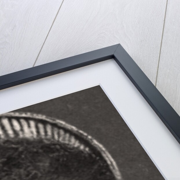 H.R.H, The Dow, DSS. Of Saxe-Coburg & Gotha by WD & HO Wills