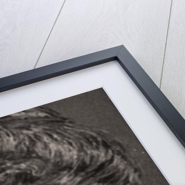 H.R.H, The DSS. Of Argyll by WD & HO Wills