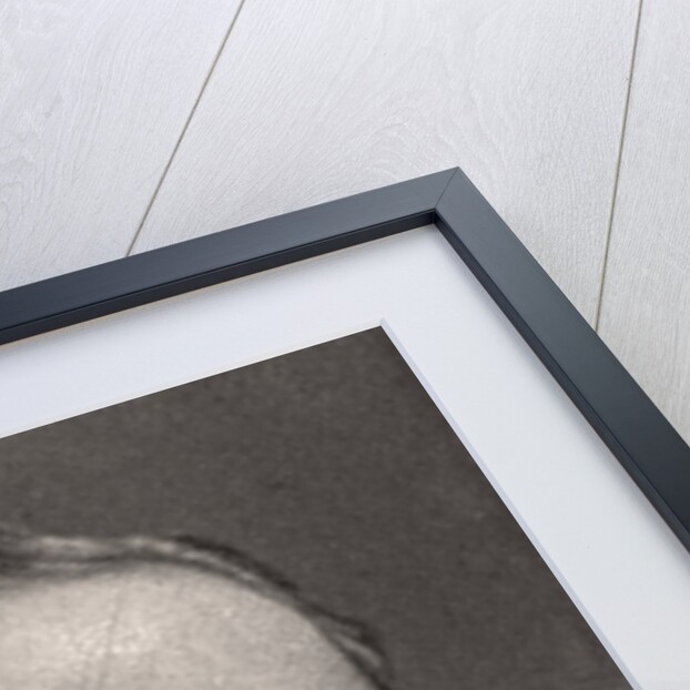 H.I & R.M, The German Emperor by WD & HO Wills