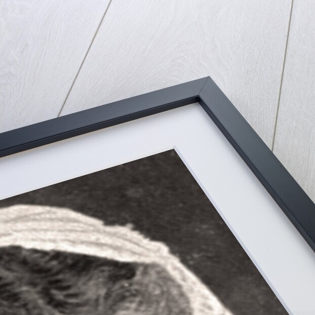 H.R.H, The Dow, DSS. Of Albany by WD & HO Wills