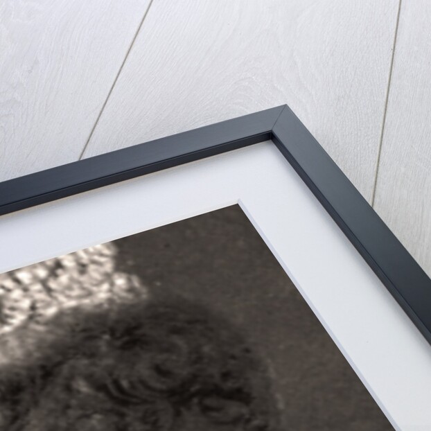 H.R.H The Duchess of Sparta by WD & HO Wills