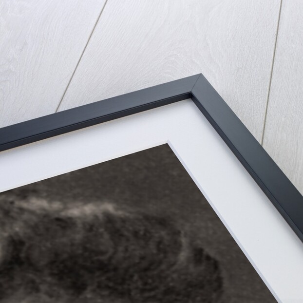 H.M The Queen of Spain by WD & HO Wills